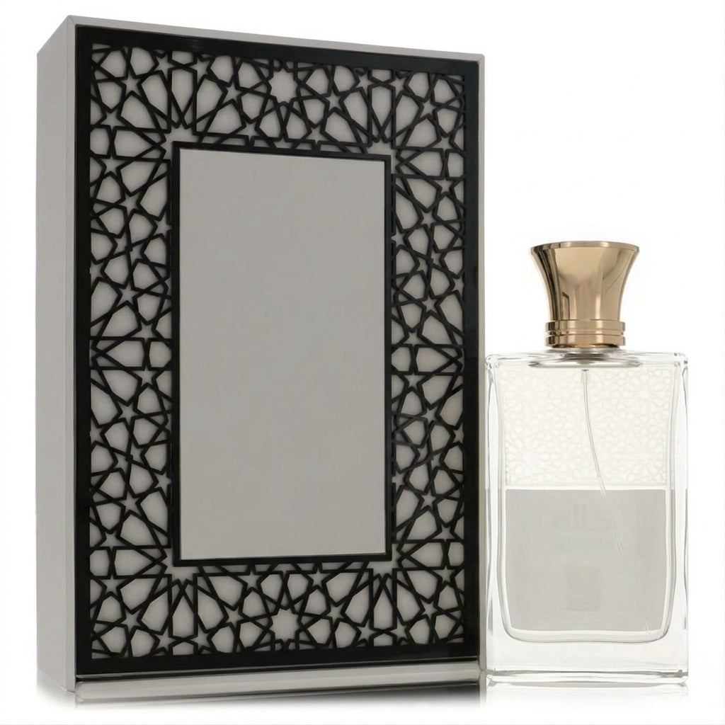 Perfume bottle and packaging set — Studio - Back View | Generated by Modelize